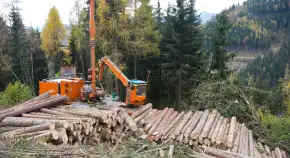 Forestry