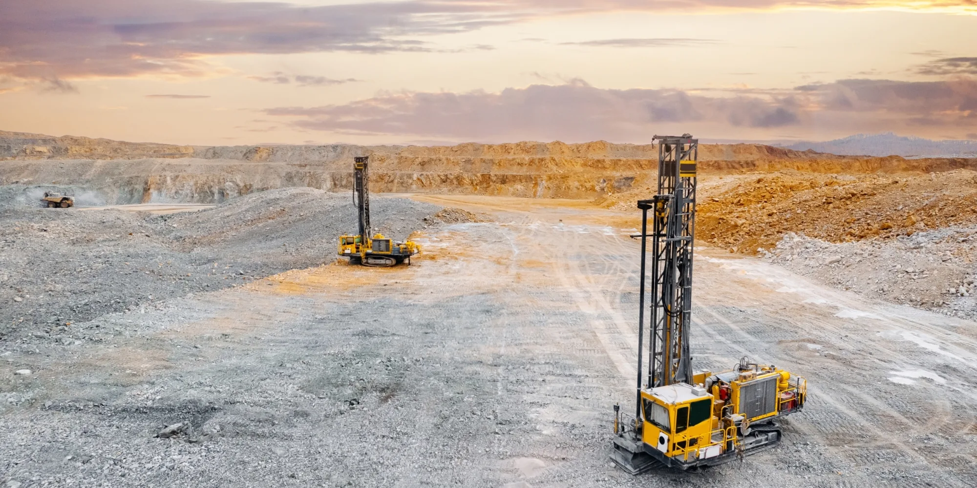 Rotary drill rig